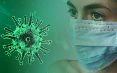 Dogged By Coronavirus