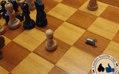 The Making of the London Scottie Club 2021 Calendar