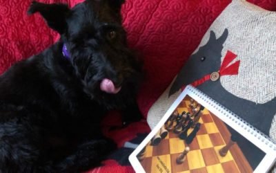 Scotties size up club calendars