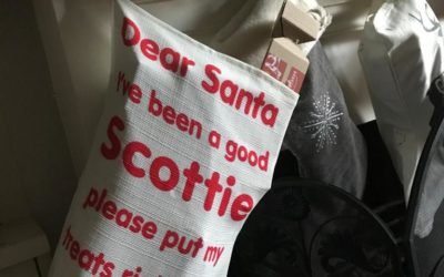 Christmas at home with the Scotties