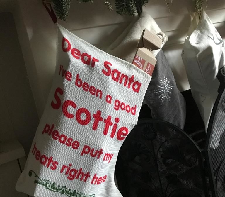 Christmas at home with the Scotties