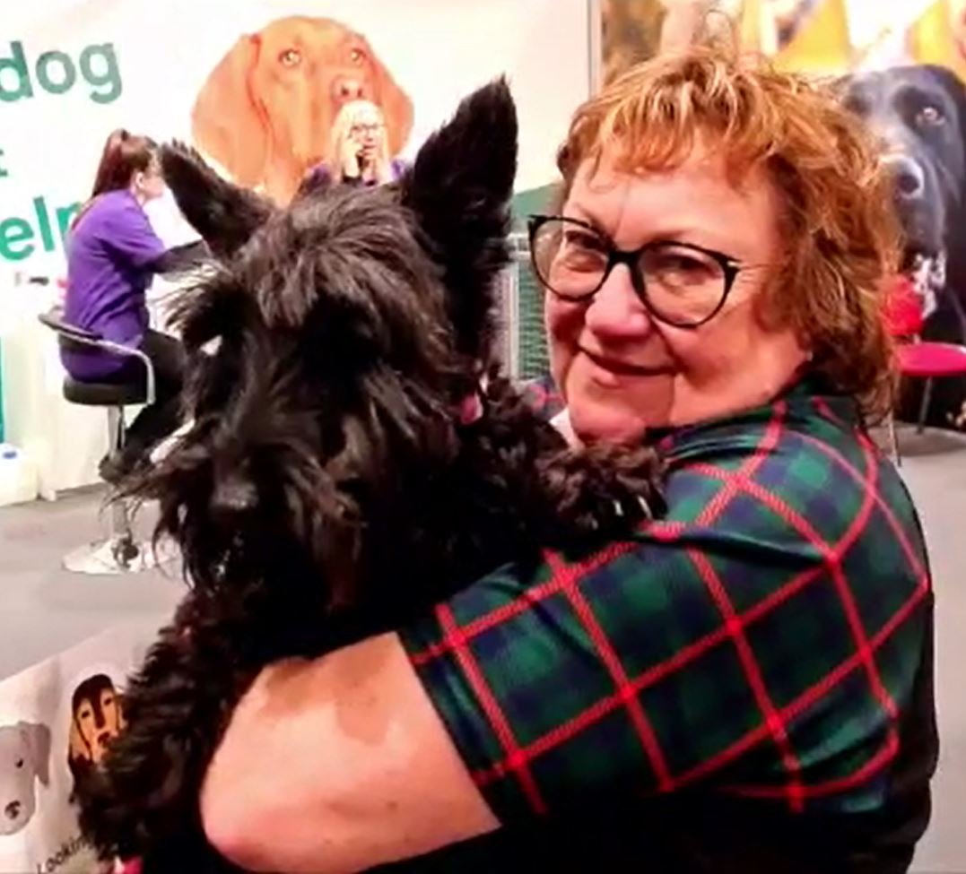 EP 14: Collared! Fostering a Scottie